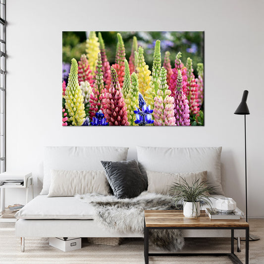 Lupin Dwarf Mix Flowers Framed Canvas